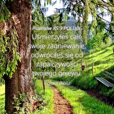 Picture 04 - Psalmów 85:3 POLUBG - Uśmierzyłeś całe swoje zagniewanie, - Bible Verse Picture