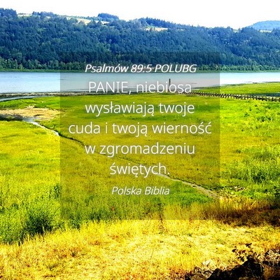 Picture 04 - Psalmów 89:5 POLUBG - PANIE, niebiosa wysławiają twoje cuda i twoją - Bible Verse Picture