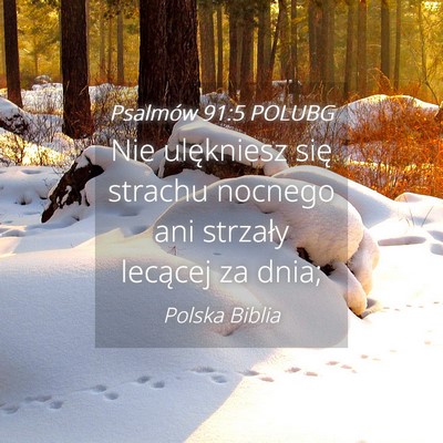 Picture 04 - Psalmów 91:5 POLUBG - Nie ulękniesz się strachu nocnego ani strzały - Bible Verse Picture