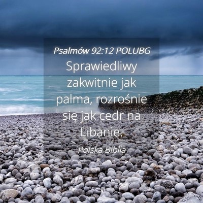 Picture 04 - Psalmów 92:12 POLUBG - Sprawiedliwy zakwitnie jak palma, rozrośnie się - Bible Verse Picture