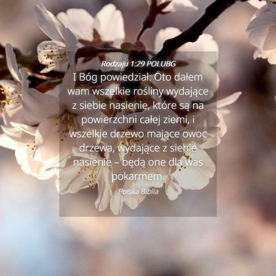 Picture 04 - Rodzaju 1:29 POLUBG - I Bóg powiedział: Oto dałem wam wszelkie - Bible Verse Picture