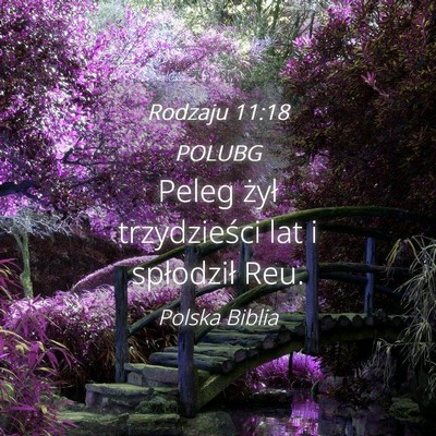 Picture 04 - Rodzaju 11:18 POLUBG - Peleg żył trzydzieści lat i spłodził - Bible Verse Picture