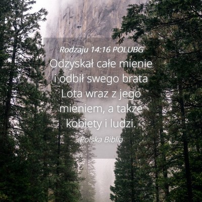Picture 04 - Rodzaju 14:16 POLUBG - Odzyskał całe mienie i odbił swego brata Lota - Bible Verse Picture