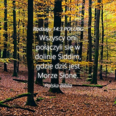 Picture 04 - Rodzaju 14:3 POLUBG - Wszyscy oni połączyli się w dolinie Siddim, - Bible Verse Picture