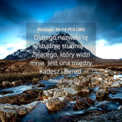 Picture 04 - Rodzaju 16:14 POLUBG - Dlatego nazwała tę studnię studnią - Bible Verse Picture