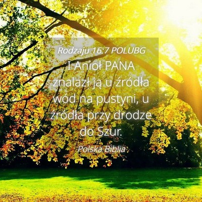 Picture 04 - Rodzaju 16:7 POLUBG - I Anioł PANA znalazł ją u źródła wód na - Bible Verse Picture