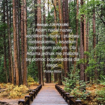 Picture 04 - Rodzaju 2:20 POLUBG - I Adam nadał nazwy wszelkiemu bydłu i ptactwu - Bible Verse Picture