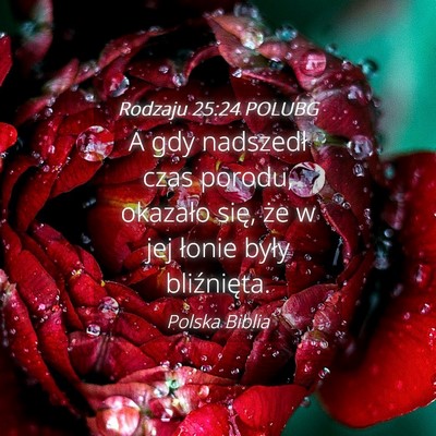Picture 04 - Rodzaju 25:24 POLUBG - A gdy nadszedł czas porodu, okazało się, że w - Bible Verse Picture