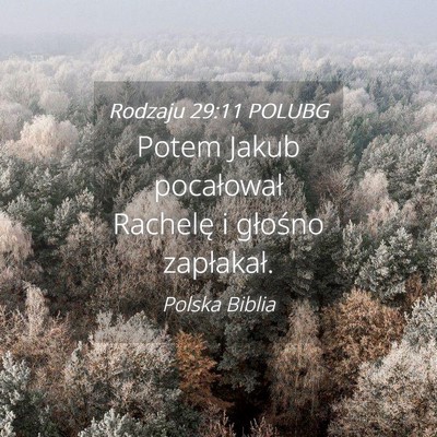 Picture 04 - Rodzaju 29:11 POLUBG - Potem Jakub pocałował Rachelę i głośno - Bible Verse Picture