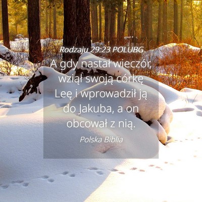 Picture 04 - Rodzaju 29:23 POLUBG - A gdy nastał wieczór, wziął swoją córkę - Bible Verse Picture
