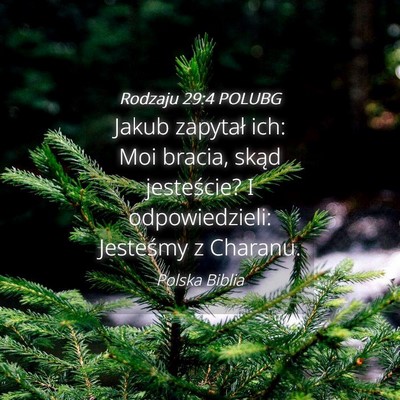 Picture 04 - Rodzaju 29:4 POLUBG - Jakub zapytał ich: Moi bracia, skąd jesteście? - Bible Verse Picture