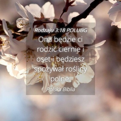 Picture 04 - Rodzaju 3:18 POLUBG - Ona będzie ci rodzić ciernie i oset i będziesz - Bible Verse Picture
