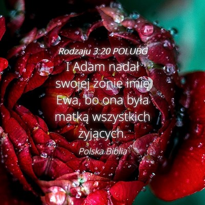 Picture 04 - Rodzaju 3:20 POLUBG - I Adam nadał swojej żonie imię Ewa, bo ona - Bible Verse Picture