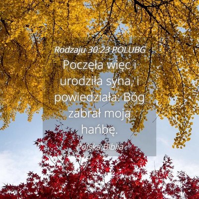 Picture 04 - Rodzaju 30:23 POLUBG - Poczęła więc i urodziła syna, i powiedziała: - Bible Verse Picture