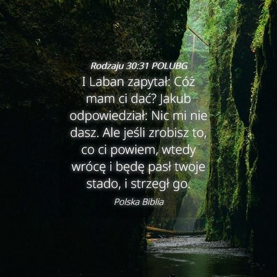 Picture 04 - Rodzaju 30:31 POLUBG - I Laban zapytał: Cóż mam ci dać? Jakub - Bible Verse Picture