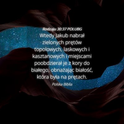 Picture 04 - Rodzaju 30:37 POLUBG - Wtedy Jakub nabrał zielonych prętów - Bible Verse Picture