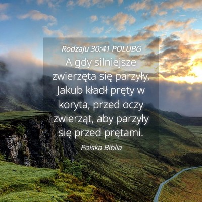 Picture 04 - Rodzaju 30:41 POLUBG - A gdy silniejsze zwierzęta się parzyły, Jakub - Bible Verse Picture
