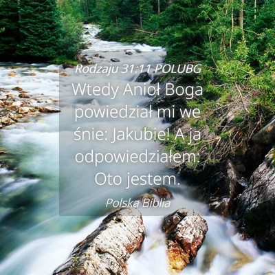 Picture 04 - Rodzaju 31:11 POLUBG - Wtedy Anioł Boga powiedział mi we śnie: - Bible Verse Picture