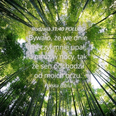 Picture 04 - Rodzaju 31:40 POLUBG - Bywało, że we dnie męczył mnie upał, a mróz - Bible Verse Picture