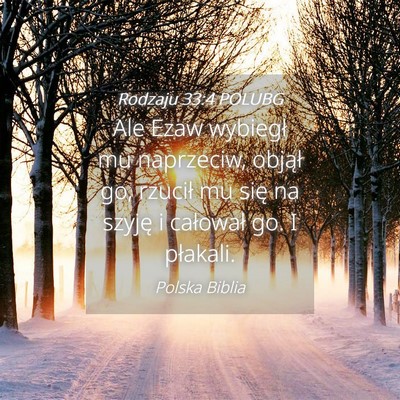 Picture 04 - Rodzaju 33:4 POLUBG - Ale Ezaw wybiegł mu naprzeciw, objął go, - Bible Verse Picture