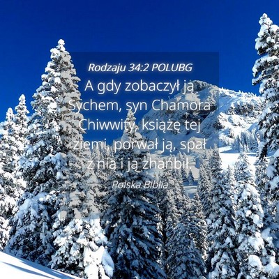 Picture 04 - Rodzaju 34:2 POLUBG - A gdy zobaczył ją Sychem, syn Chamora Chiwwity, - Bible Verse Picture