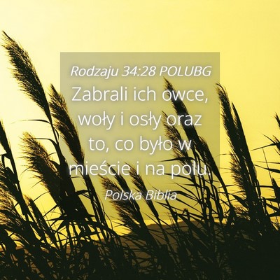 Picture 04 - Rodzaju 34:28 POLUBG - Zabrali ich owce, woły i osły oraz to, co było - Bible Verse Picture