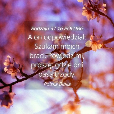 Picture 04 - Rodzaju 37:16 POLUBG - A on odpowiedział: Szukam moich braci. Powiedz - Bible Verse Picture