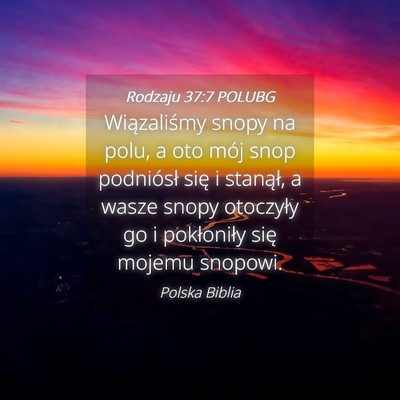 Picture 04 - Rodzaju 37:7 POLUBG - Wiązaliśmy snopy na polu, a oto mój snop - Bible Verse Picture