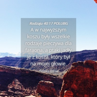 Picture 04 - Rodzaju 40:17 POLUBG - A w najwyższym koszu były wszelkie rodzaje - Bible Verse Picture