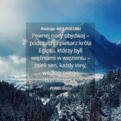 Picture 04 - Rodzaju 40:5 POLUBG - Pewnej nocy obydwaj – podczaszy i piekarz - Bible Verse Picture