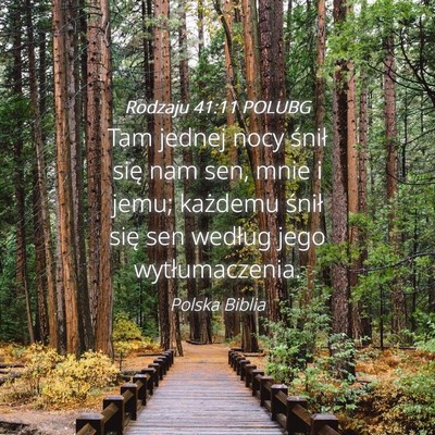 Picture 04 - Rodzaju 41:11 POLUBG - Tam jednej nocy śnił się nam sen, mnie i jemu; - Bible Verse Picture