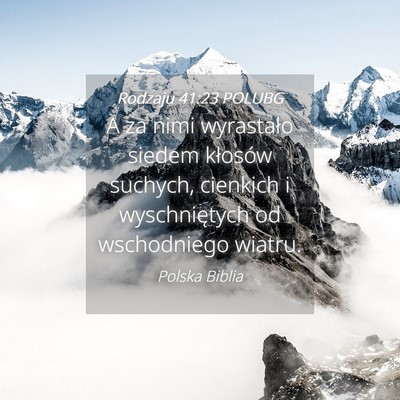 Picture 04 - Rodzaju 41:23 POLUBG - A za nimi wyrastało siedem kłosów suchych, - Bible Verse Picture