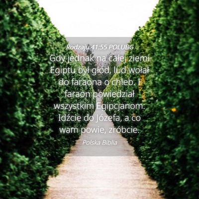 Picture 04 - Rodzaju 41:55 POLUBG - Gdy jednak na całej ziemi Egiptu był głód, - Bible Verse Picture