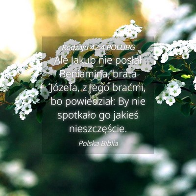 Picture 04 - Rodzaju 42:4 POLUBG - Ale Jakub nie posłał Beniamina, brata Józefa, - Bible Verse Picture
