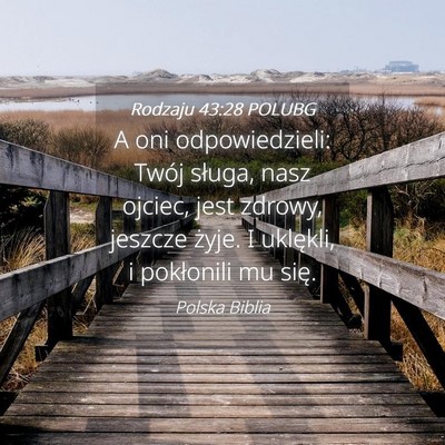 Picture 04 - Rodzaju 43:28 POLUBG - A oni odpowiedzieli: Twój sługa, nasz ojciec, - Bible Verse Picture