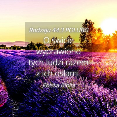 Picture 04 - Rodzaju 44:3 POLUBG - O świcie wyprawiono tych ludzi razem z ich - Bible Verse Picture