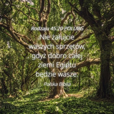 Picture 04 - Rodzaju 45:20 POLUBG - Nie żałujcie waszych sprzętów, gdyż dobro - Bible Verse Picture