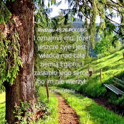 Picture 04 - Rodzaju 45:26 POLUBG - I oznajmili mu: Józef jeszcze żyje i jest - Bible Verse Picture