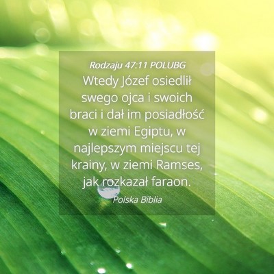 Picture 04 - Rodzaju 47:11 POLUBG - Wtedy Józef osiedlił swego ojca i swoich braci - Bible Verse Picture