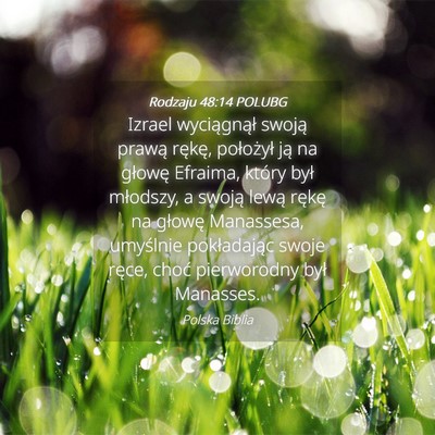 Picture 04 - Rodzaju 48:14 POLUBG - Izrael wyciągnął swoją prawą rękę, - Bible Verse Picture