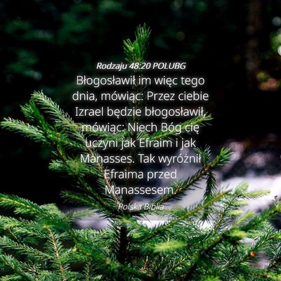 Picture 04 - Rodzaju 48:20 POLUBG - Błogosławił im więc tego dnia, mówiąc: - Bible Verse Picture