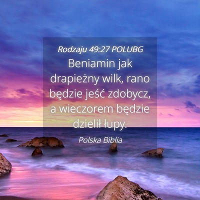 Picture 04 - Rodzaju 49:27 POLUBG - Beniamin jak drapieżny wilk, rano będzie jeść - Bible Verse Picture