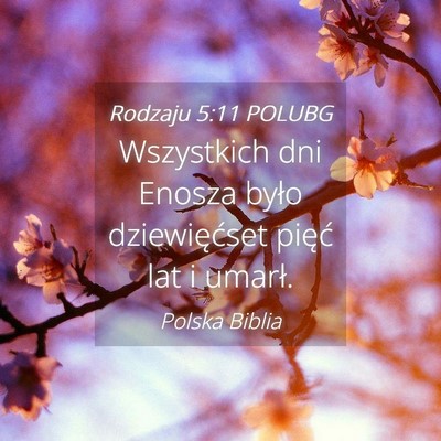 Picture 04 - Rodzaju 5:11 POLUBG - Wszystkich dni Enosza było dziewięćset pięć - Bible Verse Picture