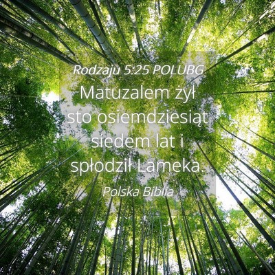 Picture 04 - Rodzaju 5:25 POLUBG - Matuzalem żył sto osiemdziesiąt siedem lat i - Bible Verse Picture
