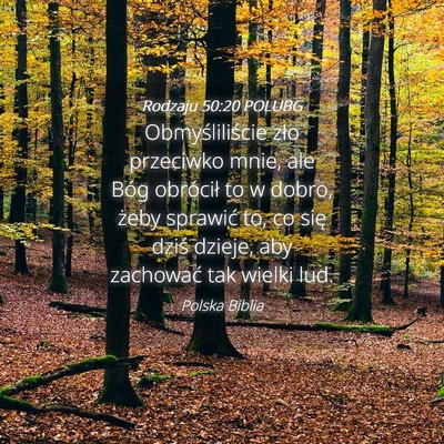 Picture 04 - Rodzaju 50:20 POLUBG - Obmyśliliście zło przeciwko mnie, ale Bóg - Bible Verse Picture