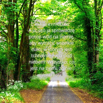Picture 04 - Rodzaju 6:17 POLUBG - A ja, oto ja sprowadzę potop wód na ziemię, - Bible Verse Picture
