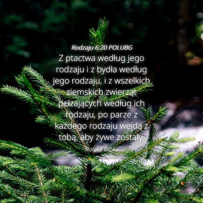 Picture 04 - Rodzaju 6:20 POLUBG - Z ptactwa według jego rodzaju i z bydła według - Bible Verse Picture