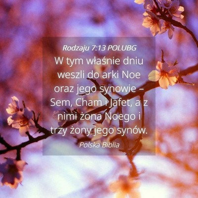 Picture 04 - Rodzaju 7:13 POLUBG - W tym właśnie dniu weszli do arki Noe oraz jego - Bible Verse Picture