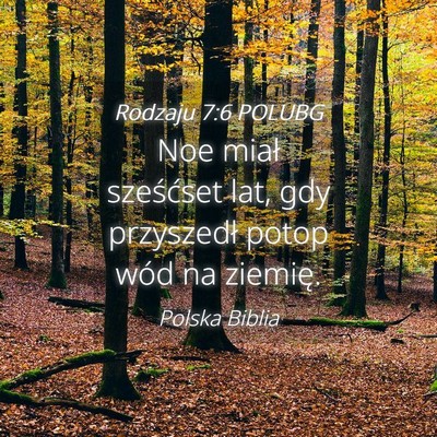 Picture 04 - Rodzaju 7:6 POLUBG - Noe miał sześćset lat, gdy przyszedł potop - Bible Verse Picture