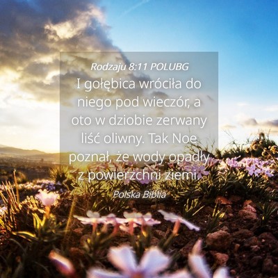 Picture 04 - Rodzaju 8:11 POLUBG - I gołębica wróciła do niego pod wieczór, a - Bible Verse Picture